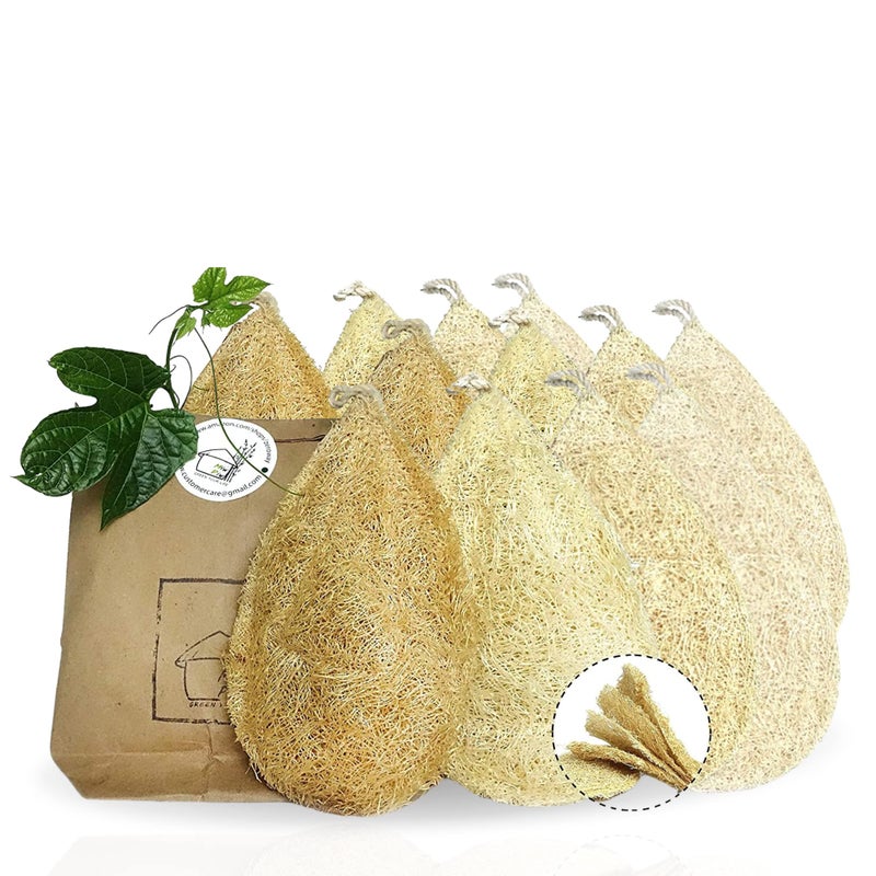 Miw Piw Natural Loofah Dish Sponge Vegetable Scrubber for Kitchen - 100% Biodegradable Compostable Dishwashing Scouring Pad Zero Waste (Pack 10) - Image 1